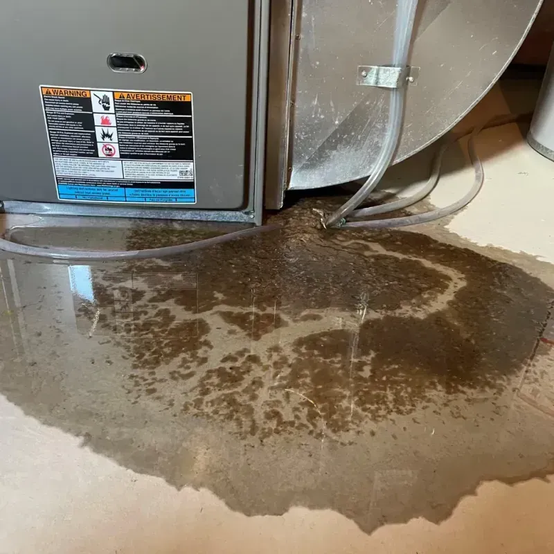 Appliance Leak Cleanup in Port Jefferson, NY